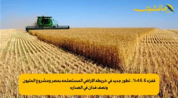 قفزة 46.6%.. تطور جديد في خريطة الأراضي المستصلحة بمصر ومشروع المليون ونصف فدان في الصدارة